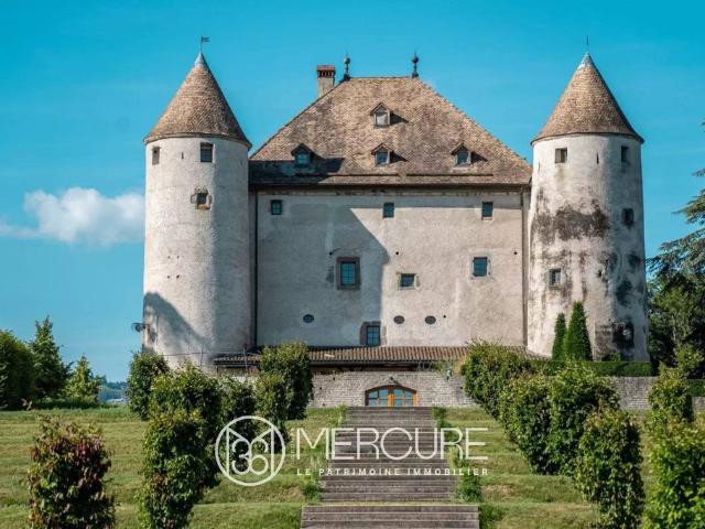 Château vente à Thonon-les-Bains, Bons-en-chablais