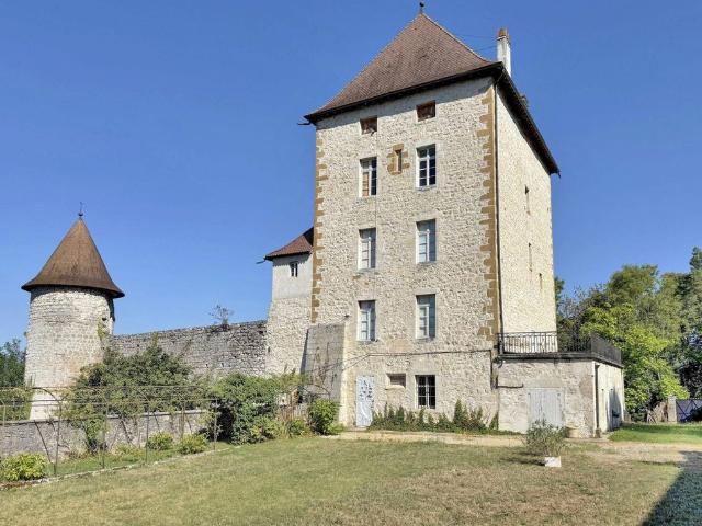 Château vente à France métropolitaine, Brégnier-cordon