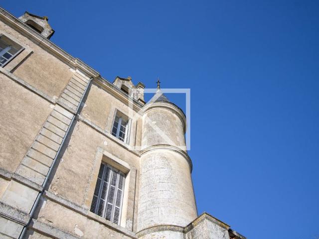 Château vente à La Roche-sur-Yon, Chantonnay