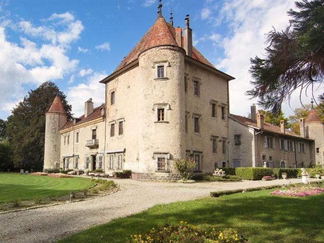 Château vente à Thonon-les-Bains, Douvaine