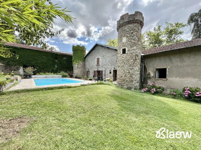 Château vente à Lyon, Métropole de Lyon