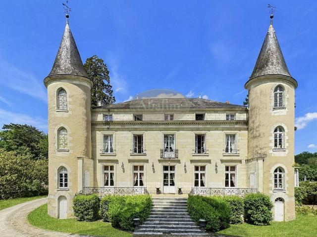 Château vente à Châtellerault, La Roche-posay