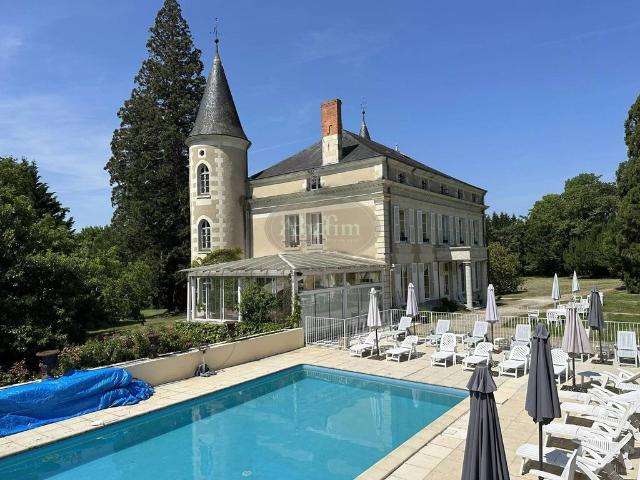 Château vente à Châtellerault, La Roche-posay