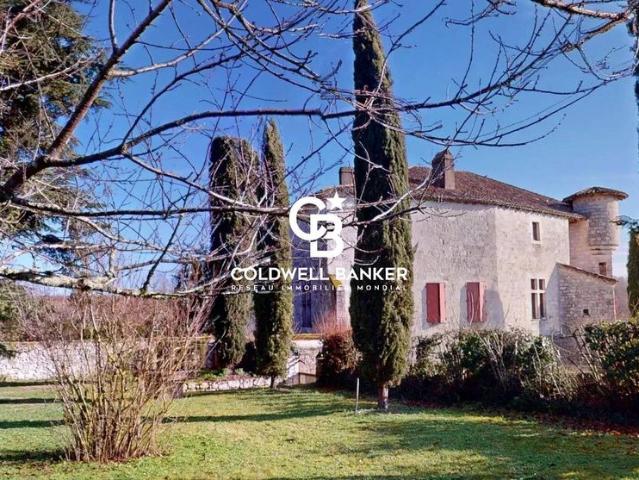 Château vente à Castelsarrasin, Montaigu-de-quercy