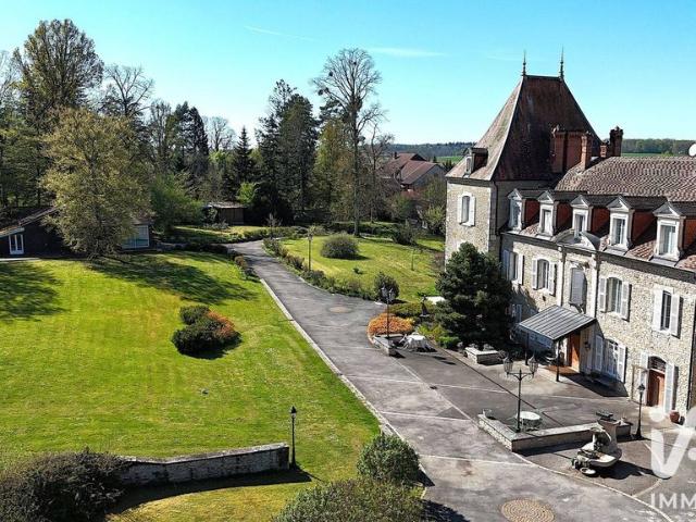 Château vente à Dole, Pagney