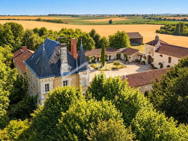 Château vente à Richelieu, Indre-et-Loire