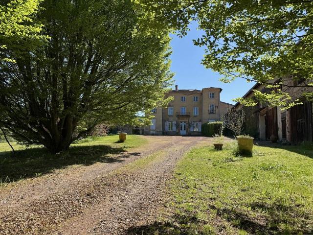 Château vente à Roanne