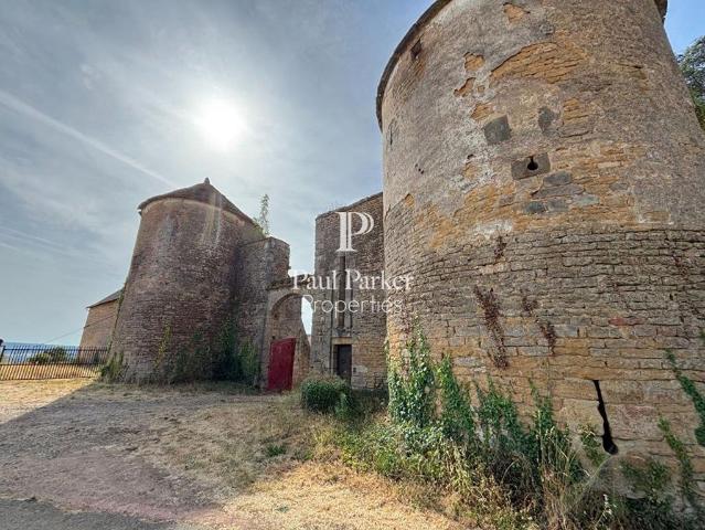 Château vente à Saint-André-le-Désert, Saône-et-Loire