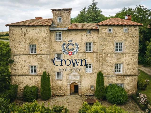 Château vente à Montbrison, Saint-galmier