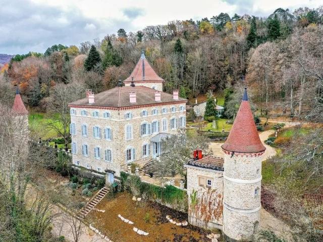Château vente à Grenoble, Saint-jean-le-vieux