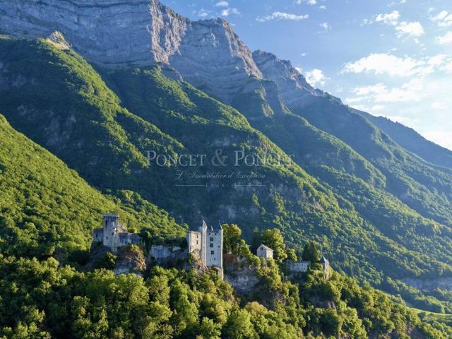 Château vente à Chambéry, Saint-pierre-d'albigny