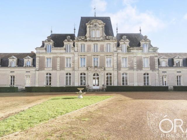 Château vente à Angers, Soulaire-et-bourg