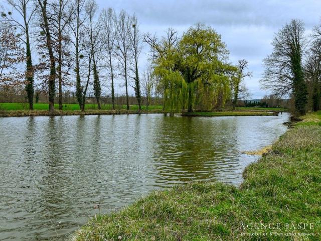 Château vente à Montbrison, Sury-le-comtal