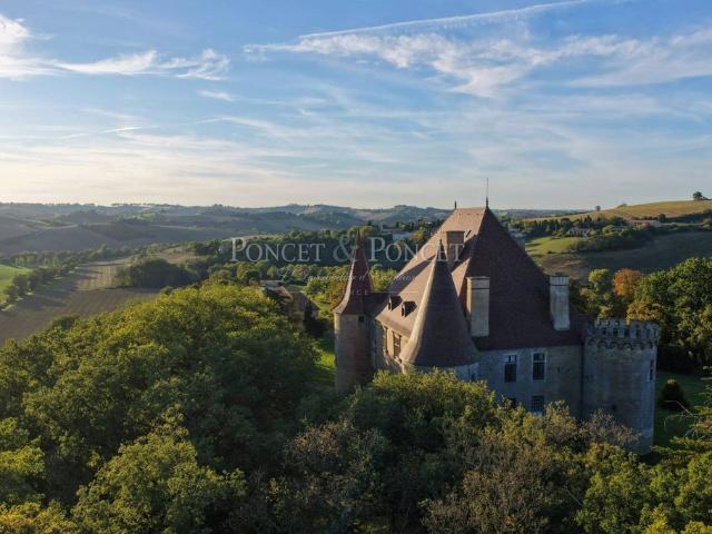 Château vente à Marquein, Aude