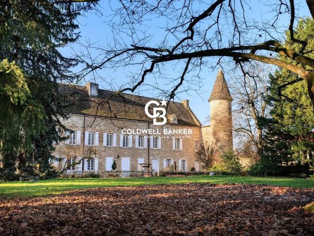 Château vente à Mâcon, Fleurville