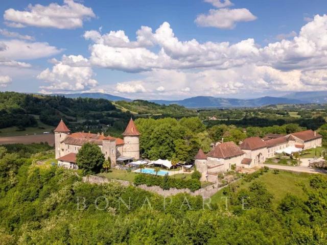 Château vente à La Tour-du-Pin, Vignieu