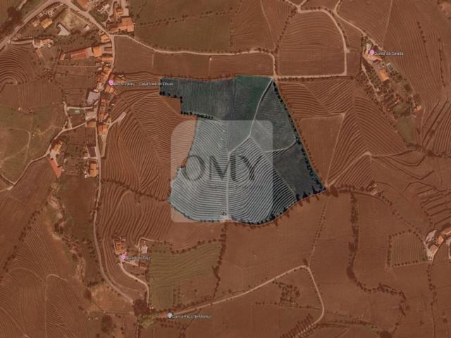 Casa venda em Quintião, Lamego
