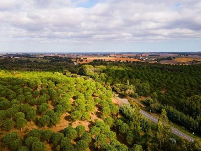 Casa venda em Odemira, Beja