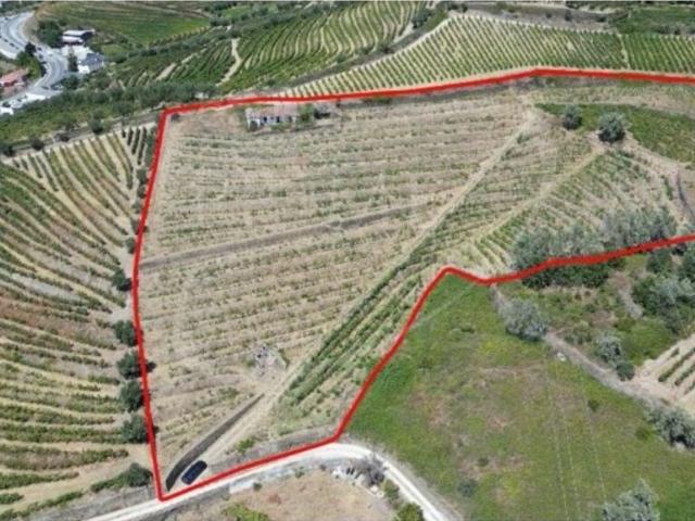 Terreno venda em Peso Da Régua, Vila Real