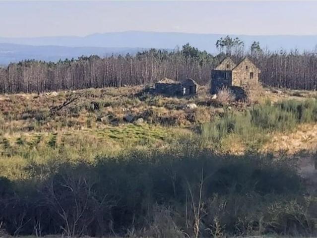 Casa venda em Aviúges, Viseu