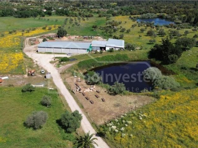 Casa venda em Castelo Branco
