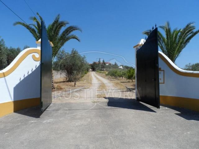 Casa venda em Bairro António Festas, Redondo