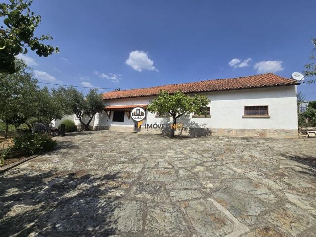 Casa venda em Castelo Branco
