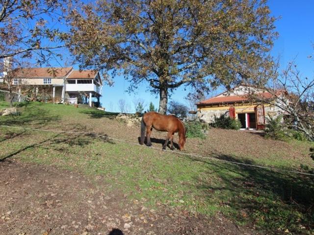 Casa venda em Guarda, Seia