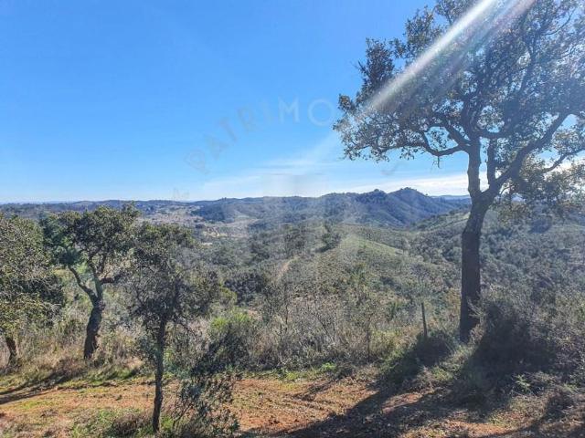 Casa venda em Colos, Odemira