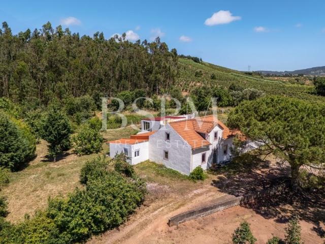 Casa venda em A-dos-Francos, Caldas Da Rainha