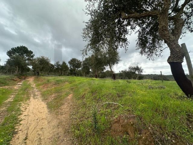Casa venda em Odemira, Beja