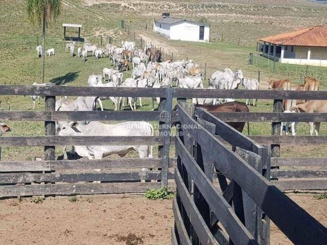 Casa venda em Região Imediata de Itapeva, Riversul
