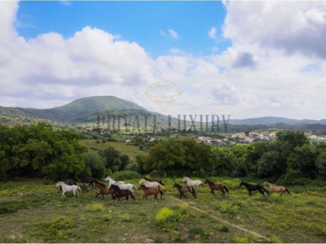 Casa venda em Azeitão (São Lourenço e São Simão), Setúbal