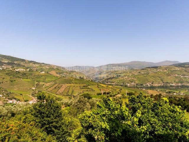 Casa venda em Quintião, Lamego