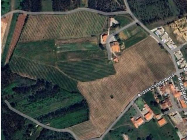 Terreno venda em Pederneira, Valado Dos Frades