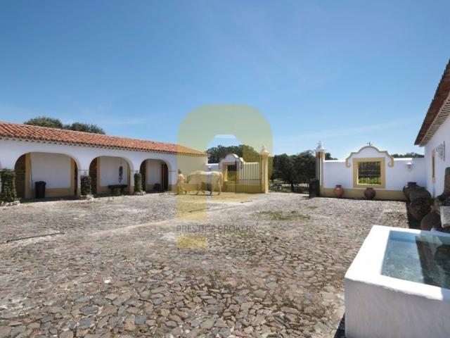 Casa venda em Monforte, Portalegre
