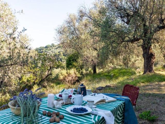 Villa Indipendente in vendita a Dolceacqua, Liguria