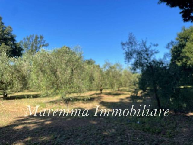 Villa Indipendente in vendita a Unione di Comuni Montani Colline del Fiora, Manciano