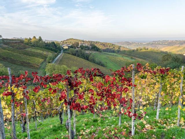 Villa Indipendente in vendita a Montalto Pavese, Lombardia