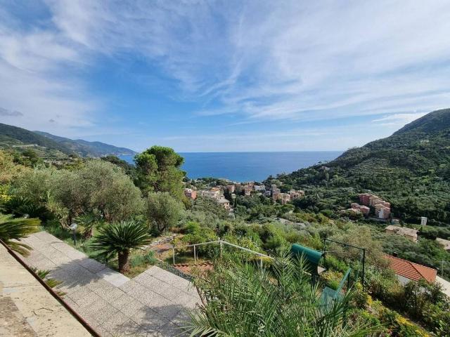 Villa Indipendente in vendita a Monterosso Al Mare, Liguria
