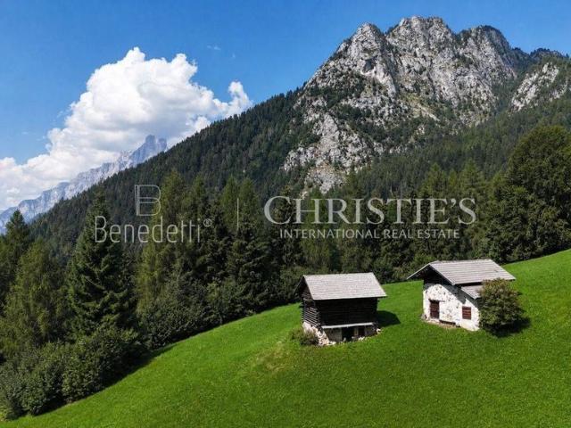 Villa Indipendente in vendita a Col, Primiero San Martino di Castrozza