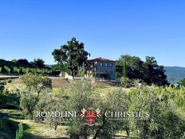 Villa Indipendente in vendita a Roccastrada, Toscana