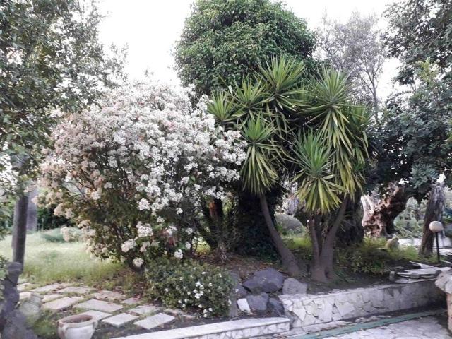 Villa Indipendente in vendita a Massannunziata, Mascalucia