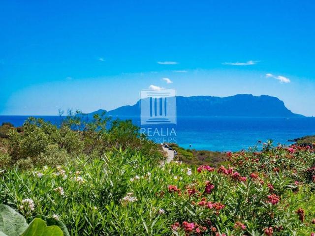 Villa Indipendente in vendita a Golfo Aranci, Sassari