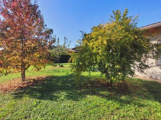 Villa Indipendente in vendita a Carnago, Lombardia