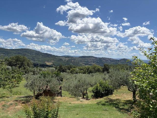 Villa Indipendente in vendita a Vaglia, Toscana