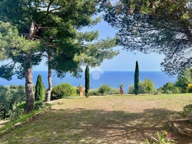 Villa Indipendente in vendita a Cipressa, Liguria
