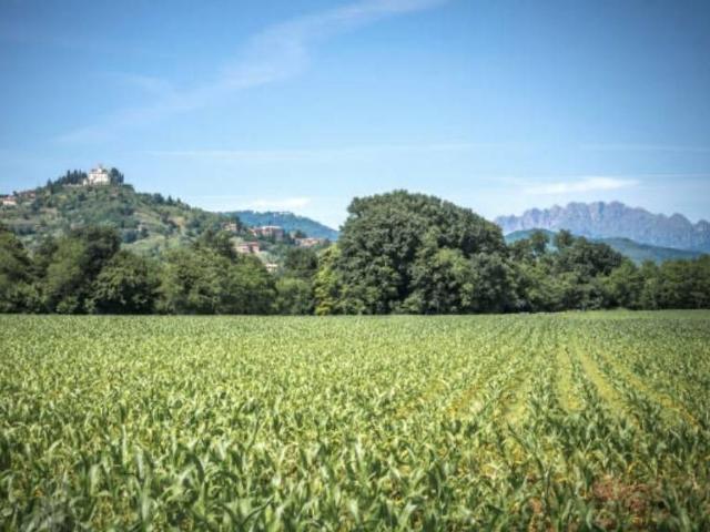 Villa Indipendente in vendita a Quattro Strade, Montevecchia