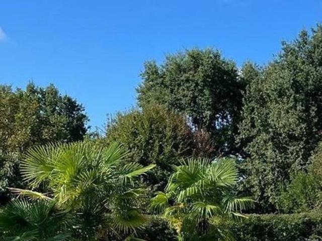 Villa Indipendente in vendita a Quattro Strade, Montevecchia