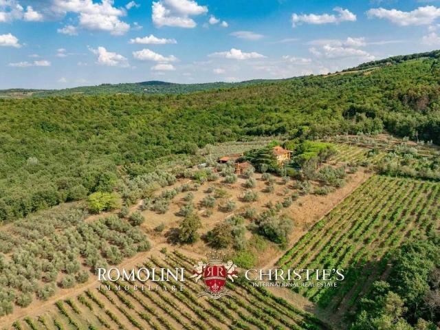 Villa Indipendente in vendita a Laterina Pergine Valdarno, Laterina